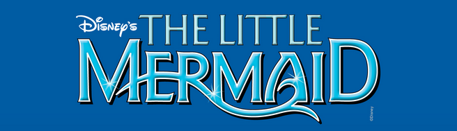 THE LITTLE MERMAID vip Viparrangement Gent Flanders Expo